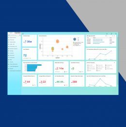Sap Business One 10.0 - Aclaros