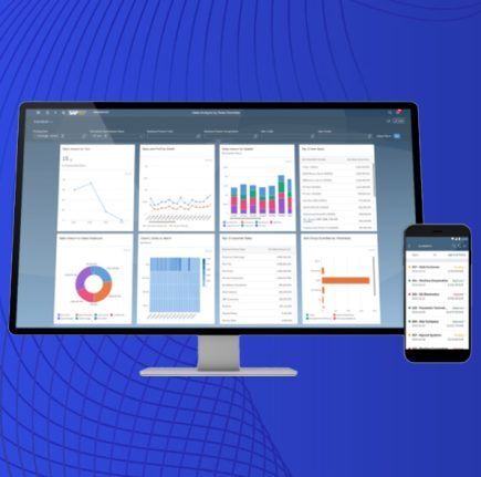 Sap Business One Hana Administration - Aclaros